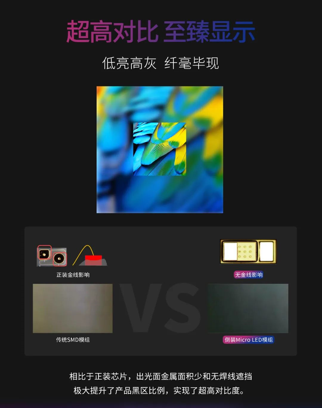 一期一会 | 一图读懂黄金城集团·利晶MIP新品系列
