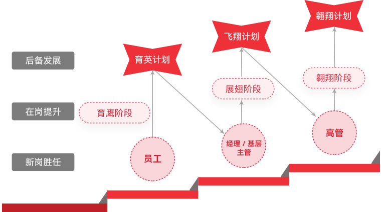黄金城集团 "雄鹰计划"人才梯队培养